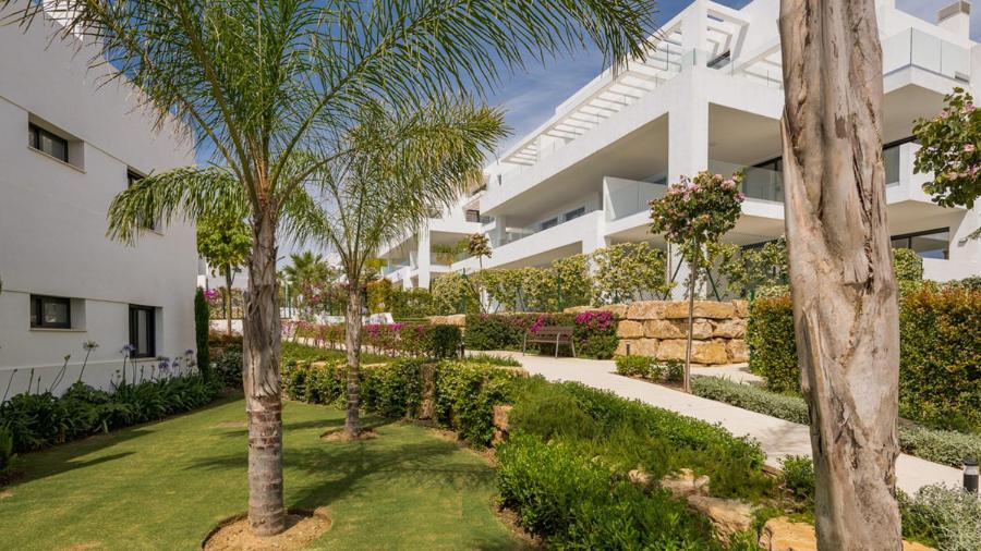 Cortijo Del Mar Resort 에스테포나 외부 사진